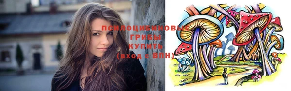 ПСИЛОЦИБИНОВЫЕ ГРИБЫ Россошь