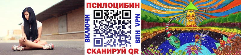 Галлюциногенные грибы Psilocybe Отрадный